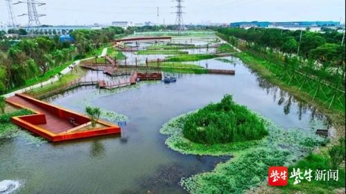 2100萬省級(jí)獎(jiǎng)勵(lì)！蘇州這片區(qū)域生態(tài)環(huán)境建設(shè)喜獲肯定，水污染治理成效顯著