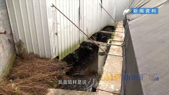 河長制推動河長治 集美區清退污染溪流養鰻場，啟動“三溪”全面治理